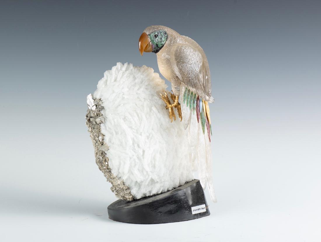 Macaw by Amsterdam Sauer (1 of 5)