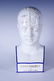 Phrenology by L.N. Fowler Porcelain Head
