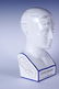 Phrenology by L.N. Fowler Porcelain Head - 2
