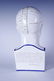 Phrenology by L.N. Fowler Porcelain Head - 4