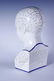Phrenology by L.N. Fowler Porcelain Head - 5