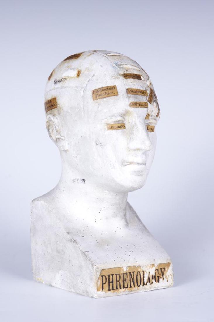 Plaster Phrenology Head Vago 1878 (1 of 6)