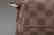 Louis Vuitton Damier Ebene Besace Rosebery Crossbody - 8