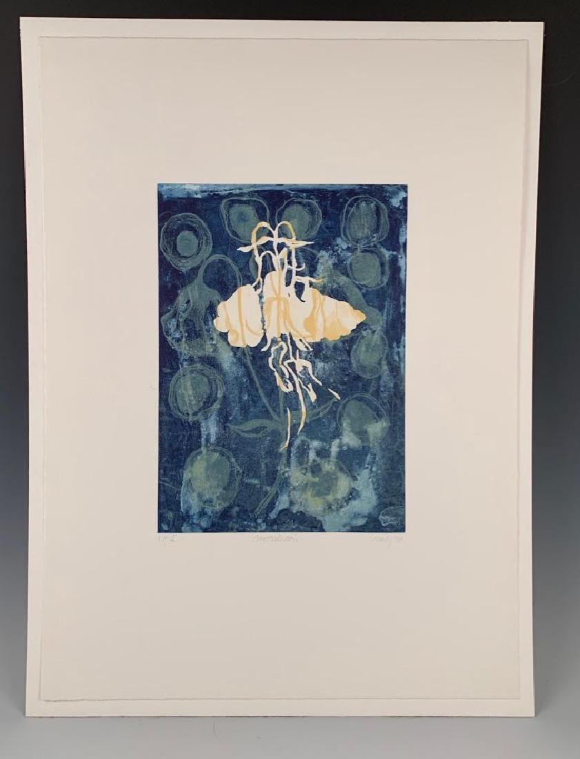 Anne Neely (American, 20thc.) Etching: "Constellation, Plate II, " 1998, etching in color, signed and dated in pencil, lower right, titled, numbered A.P. V. 14 x 10 in. image size, 26 x 19 sheet size. Condition: Good