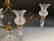 Victorian Cut Glass and Brass Epergne - 7