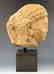 Kushan Buddha Head - 5