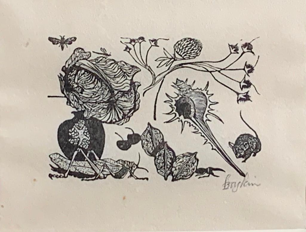 Leonard Baskin (American 1922-2000): Leonard Baskin (American 1922-2000) Natural Forms, Shell, Walnut, Mouse, Grasshopper, Pomegranate, etching, signed lower right, matted and framed. 3.25 x 4.25 in. 11 x 11.5 in. as framed Condition: