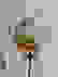 item-82376111=4