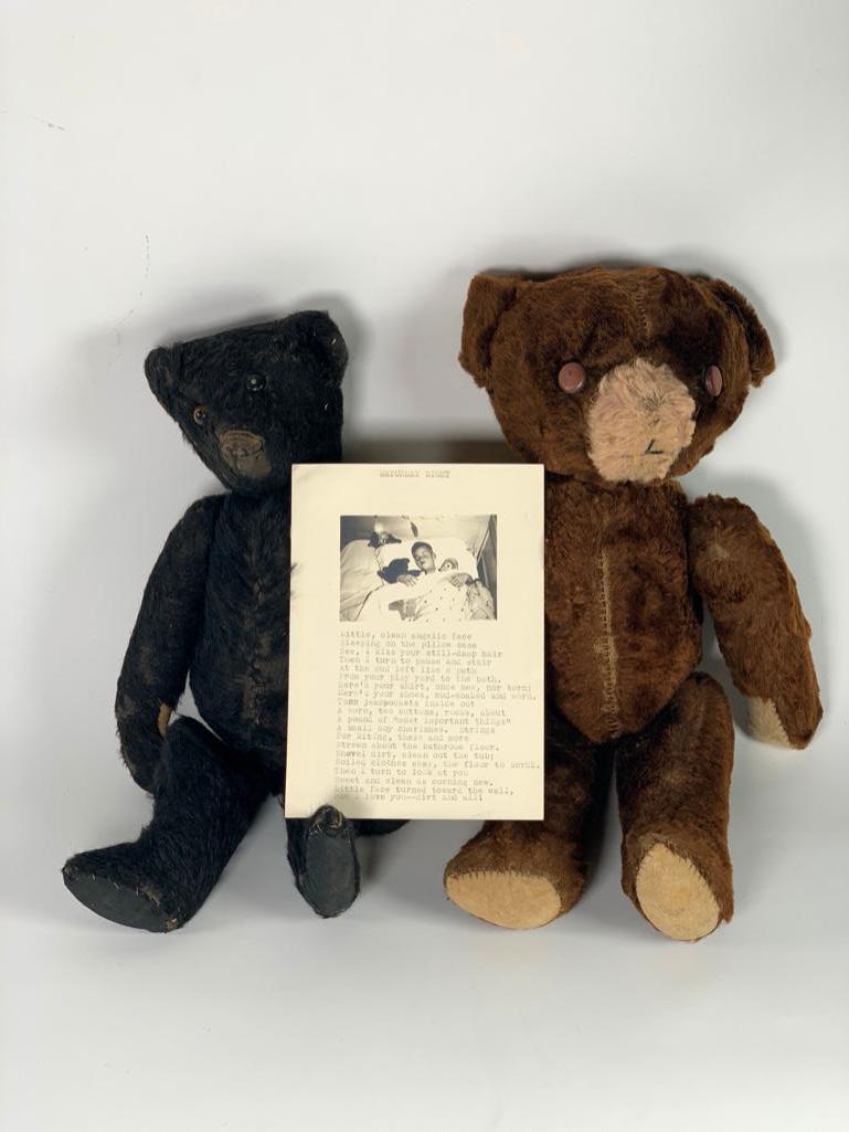 Two Vintage Teddy Bears Including a Black Teddy (1 of 13)