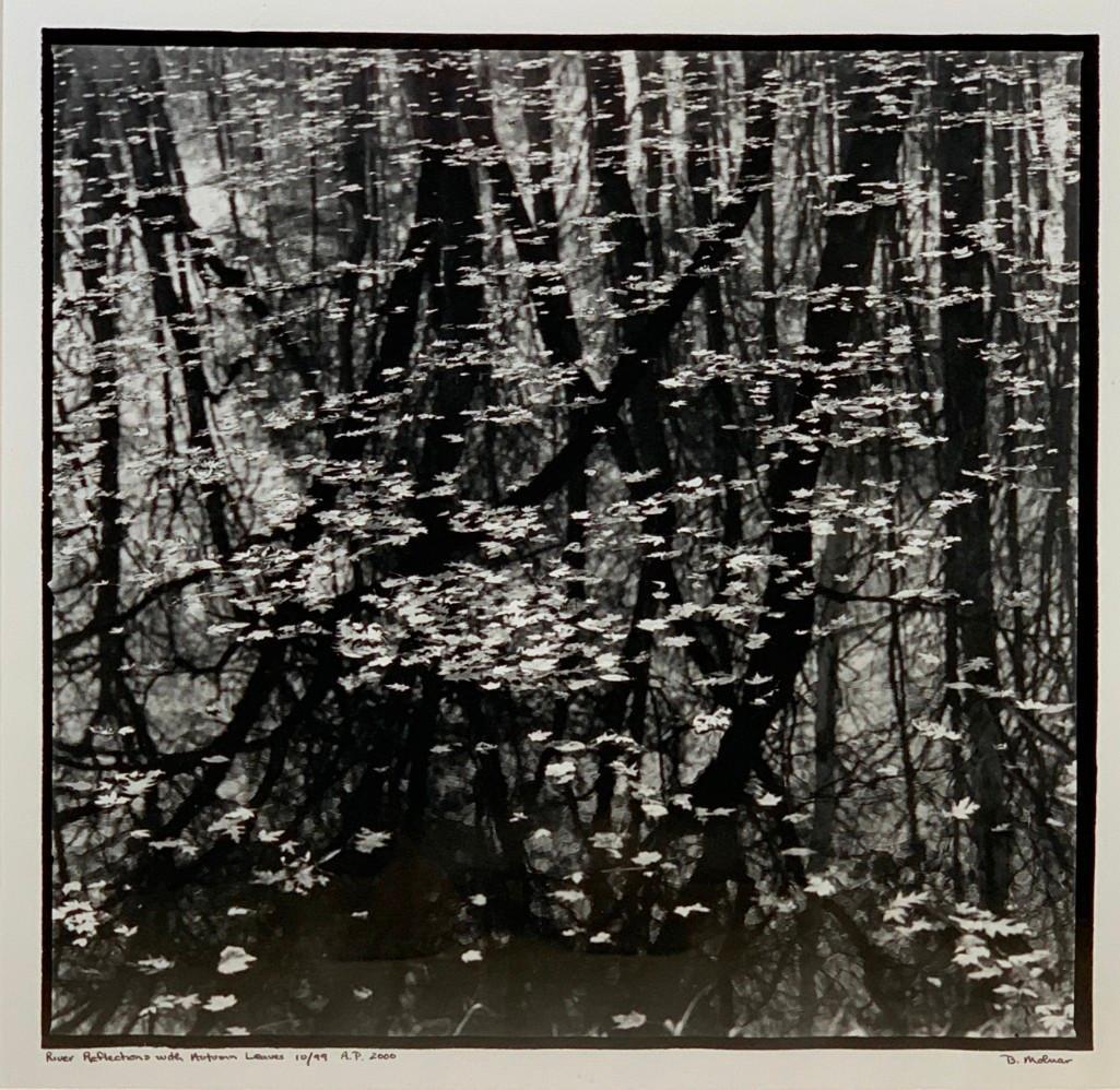 Betsy Molnar (American, 20th/21st c.): Betsy Molnar (American, 20th/21st c.) "River Reflections with Autumn Leaves," 2000, gelatin silver print, signed, dated and titled, numbered 10/99, A.P. matted and framed. Dimensions: 16 x 15.5 in. im
