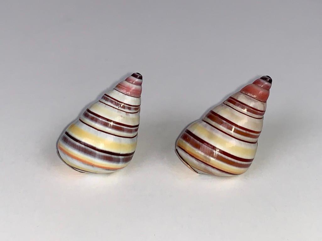 Pair of Maz 14K Yellow Gold and Natural Shell Earrings: Pair of Maz 14K Yellow Gold and Natural Shell Earrings, with 14K yellow gold backing. Signed. Dimensions: 1 in. Condition: One post bent.