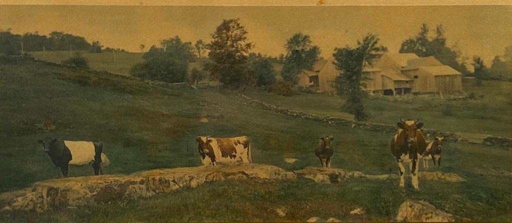 Wallace Nutting, "An Old Pasture" (1 of 3)