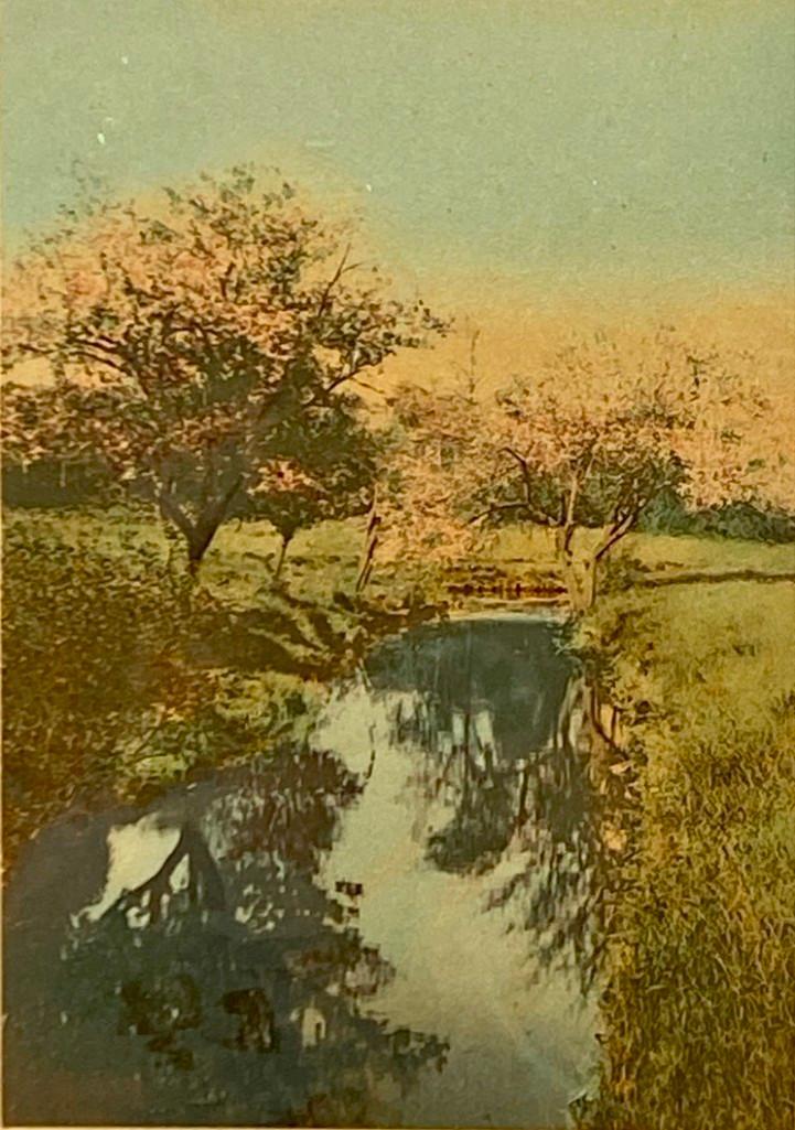 Wallace Nutting, "Brook Borders" (1 of 3)