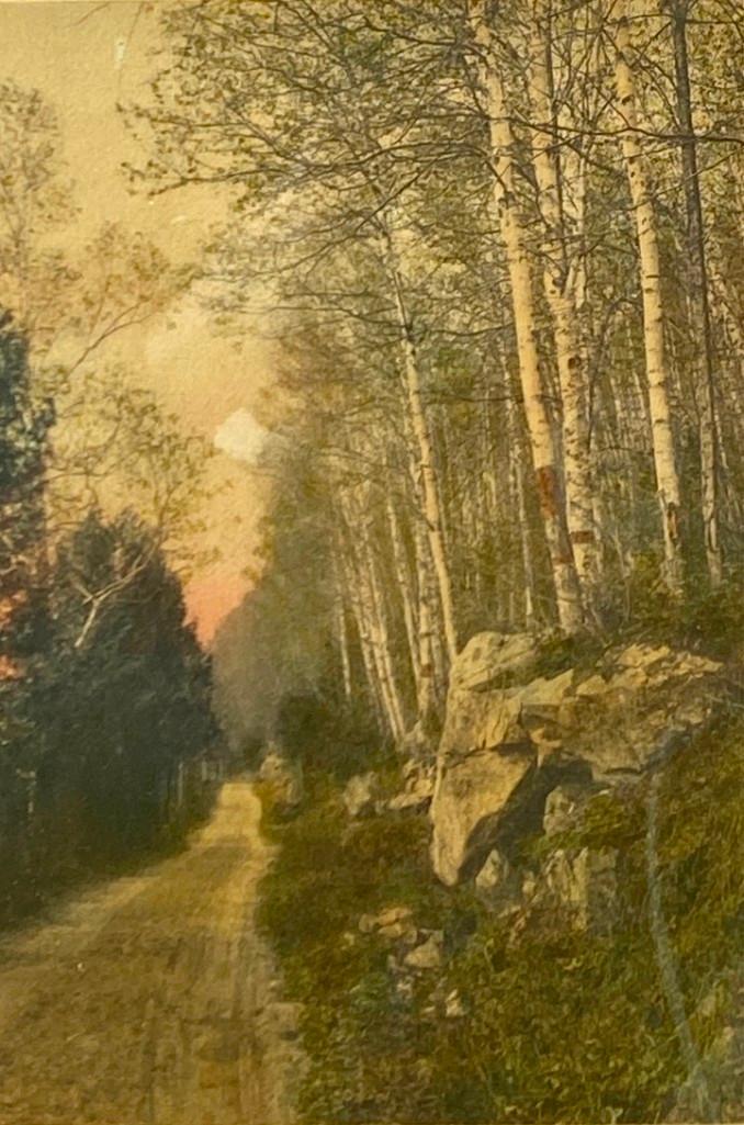 Wallace Nutting, "New England Birches" (1 of 3)