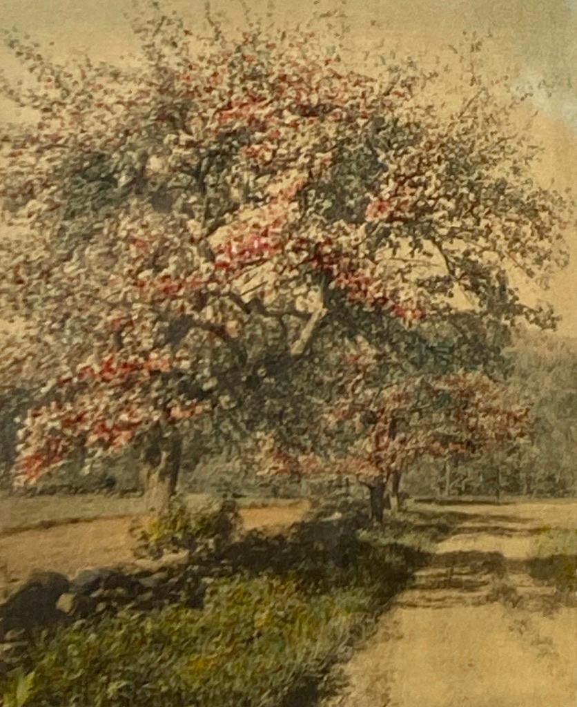 Wallace Nutting, "Untitled" (1 of 3)