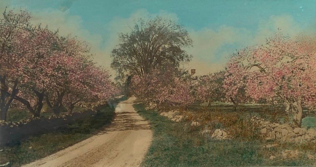 Wallace Nutting "Honeymoon Cottage" (1 of 3)