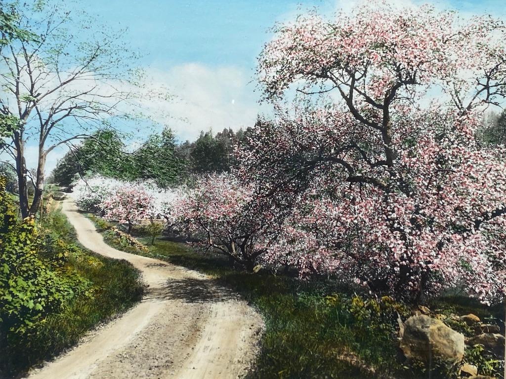 Wallace Nutting, "Decked as a Bride" (1 of 3)