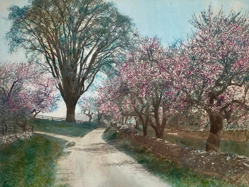 Wallace Nutting, "Windsor Blossoms" (1 of 3)