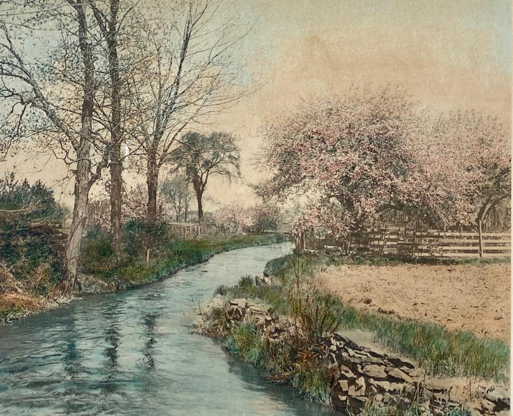 Wallace Nutting, "Spring in the Dell" (1 of 3)