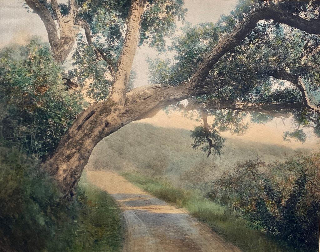 Wallace Nutting, "A California Oak": Wallace Nutting (American 1861-1941) "A California Oak," hand-colored photograph, signed in ink bottom right, titled bottom left, framed. Dimensions: 7.5 x 9.5 in. image size, 14.75 x 16.75 in. as fra