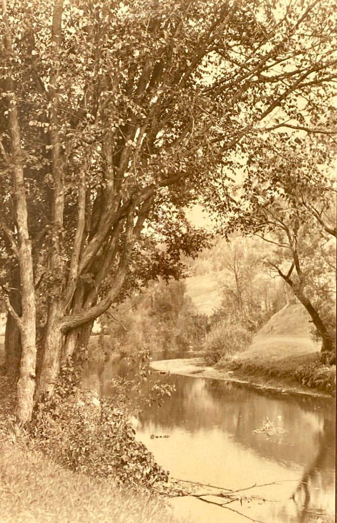 Wallace Nutting, "Cluster of Elms" (1 of 3)