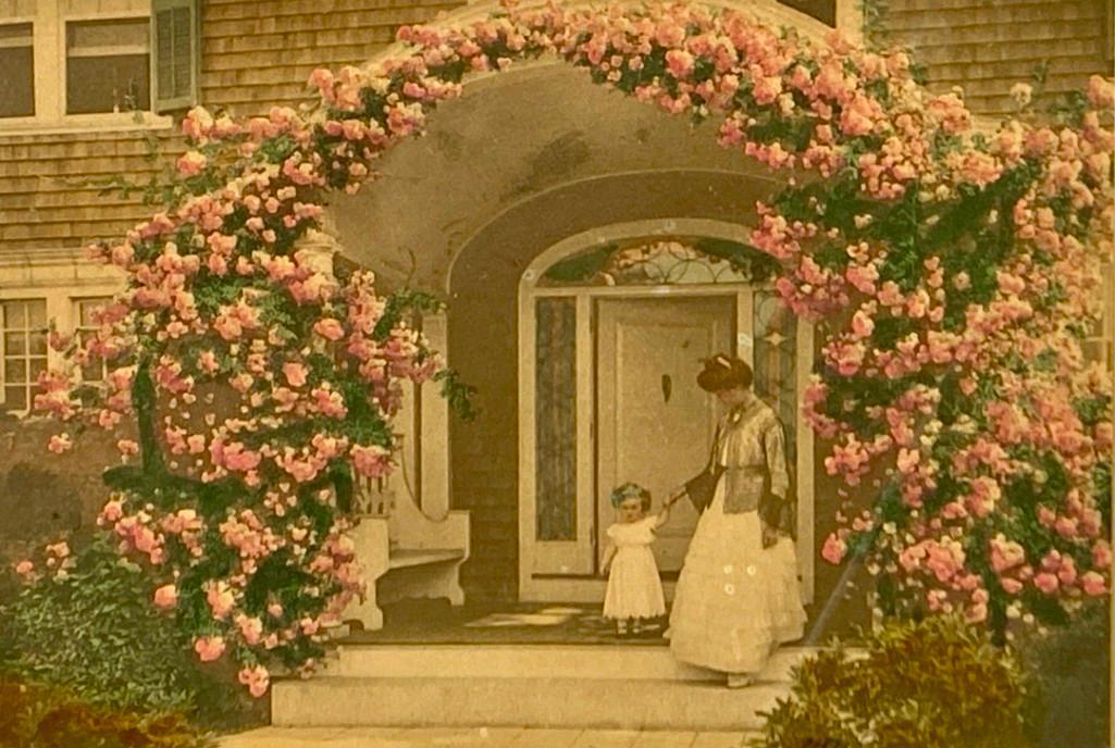 Wallace Nutting, "The Coming Out of Rosa": Wallace Nutting (American 1861-1941) "The Coming Out of Rosa," hand-colored photograph, signed in ink lower right, titled lower left, framed. Dimensions: 4.75 x 6.75 in. image size 12.75 x 15.75 in. a