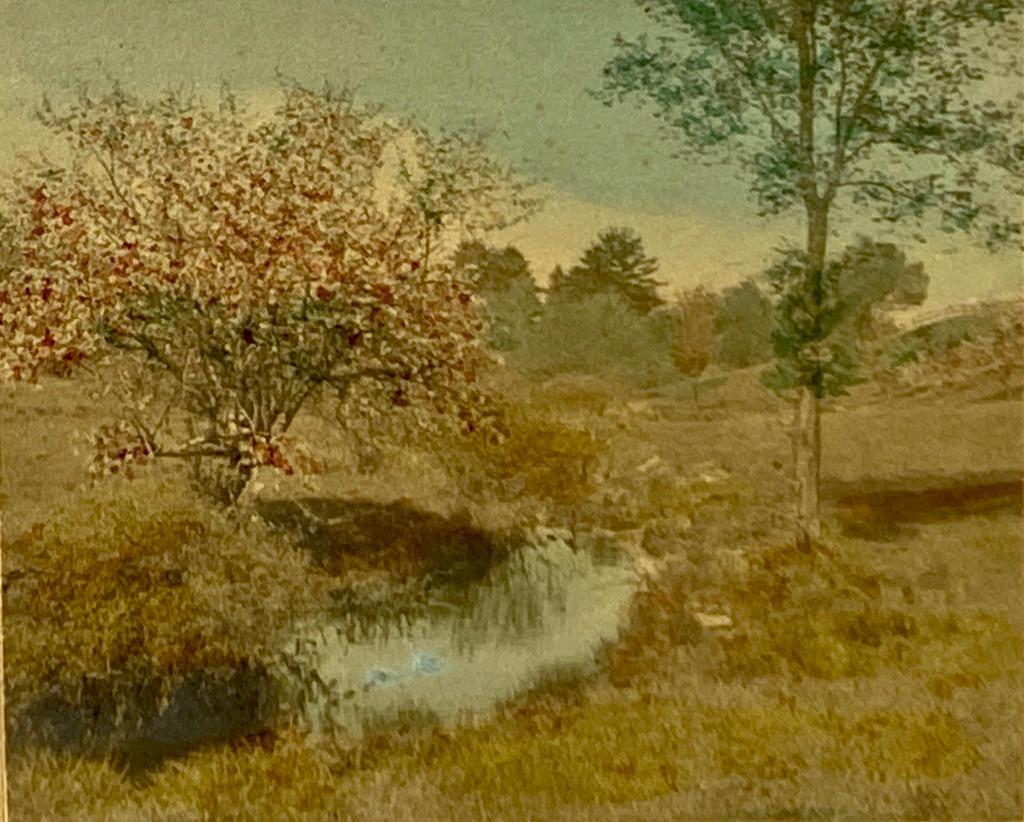 Wallace Nutting, "Untitled" (1 of 3)