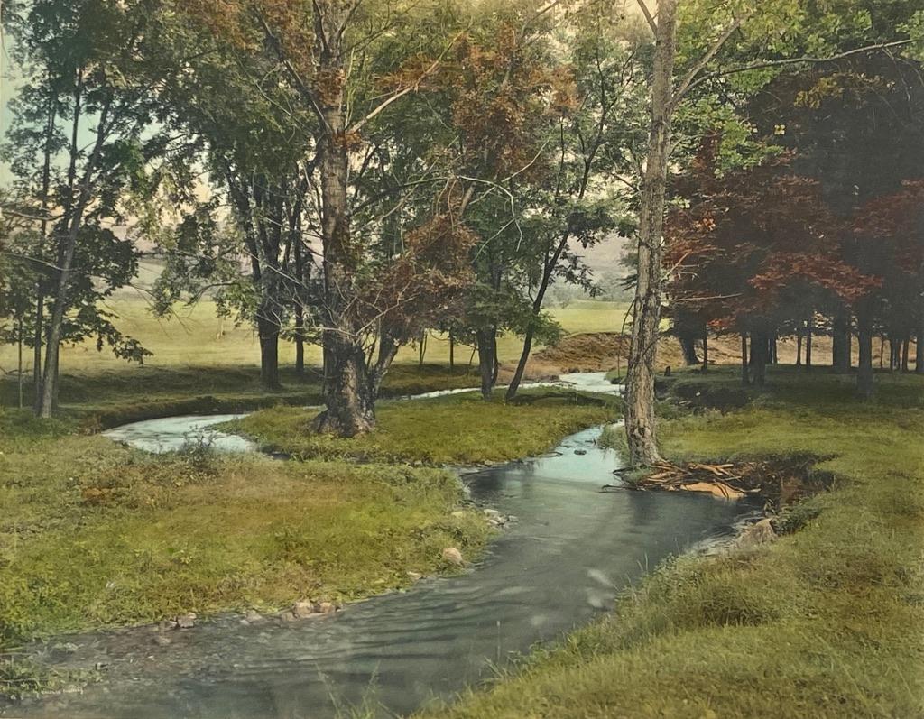 Wallace Nutting, "A Brook in Doubt" (1 of 3)