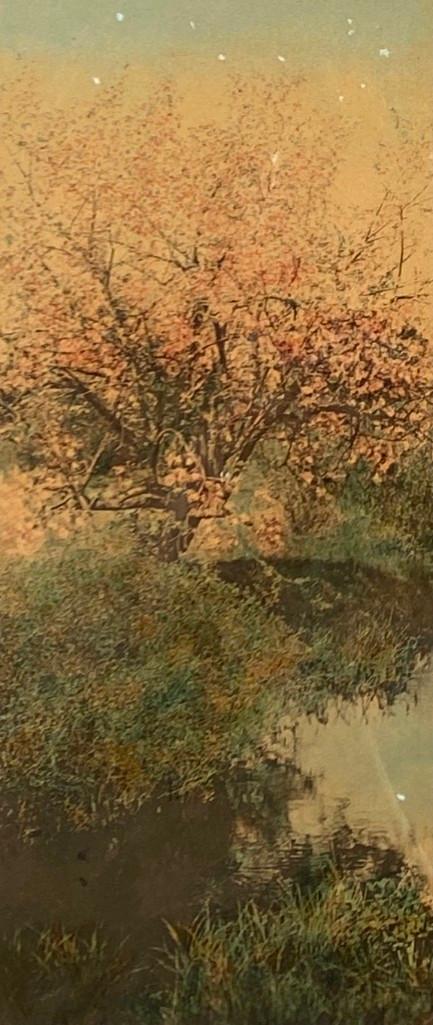 Wallace Nutting, "Brook and Blossom" (1 of 3)