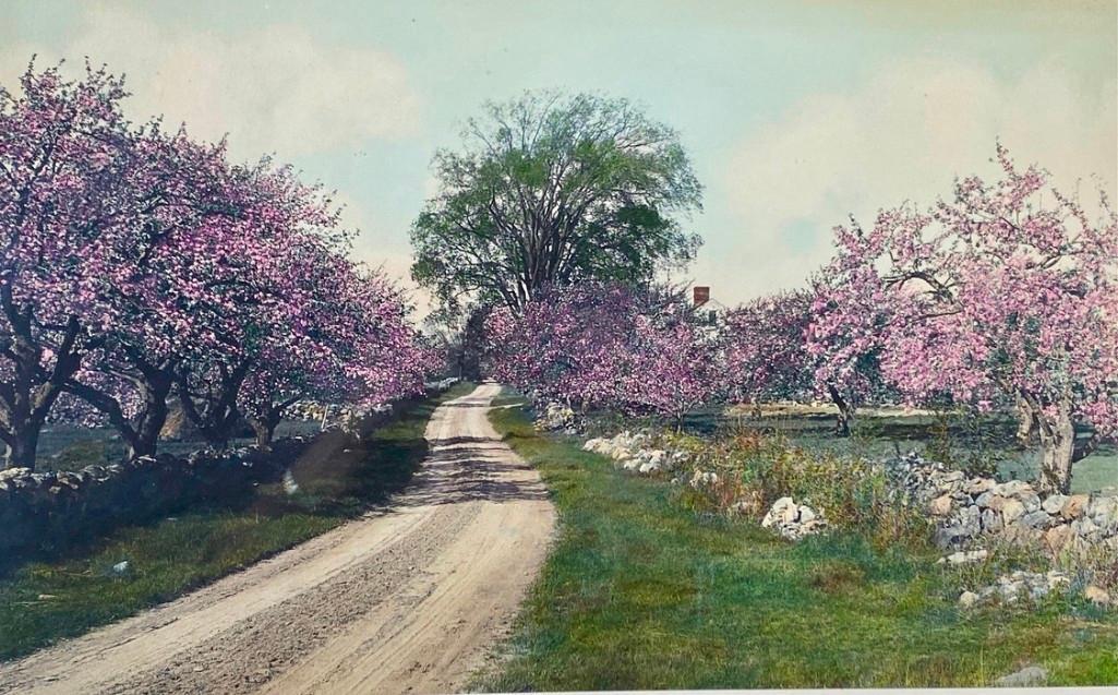 Wallace Nutting, "Honeymoon Cottage" (1 of 3)