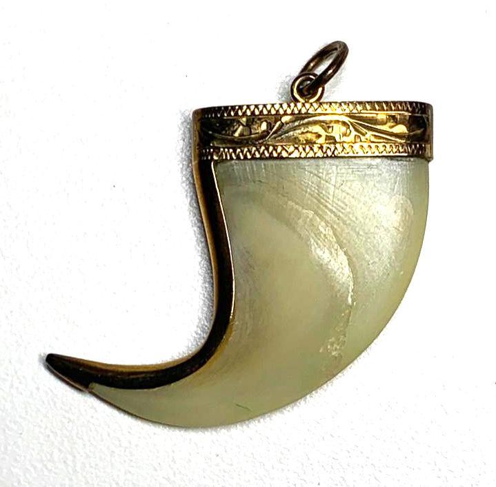 Antique tiger hotsell claw pendant