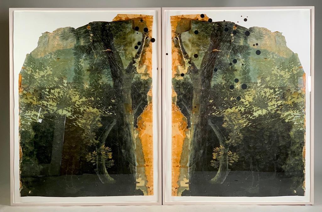 Valerie Hammond Diptych, "Southern Cross (A: Valerie Hammond (American, b. 1952) " Southern Cross (A Constellation in the Southern Hemisphere) " 2008, photolitho diptych, framed. Dimensions: 57.5 x 44 in. each as framed. Condition: Ve