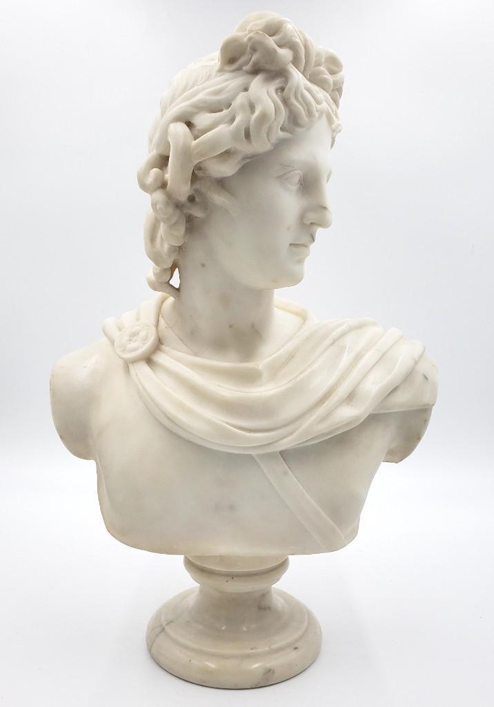 Carved Marble Bust of Apollo Belvedere (1 of 7)