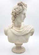 Carved Marble Bust of Apollo Belvedere (1 of 7)