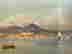 item-111798782=6