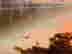 item-111798783=6