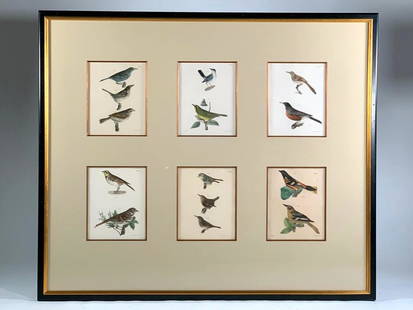 Six J. W. Hill Ornithological Prints Framed Together: John William Hill (American, 1812-1879) From 'Zoology of New York, or New York Fauna,' six hand colored lithographs of Birds of New York, matted and framed in one. Dimensions: 10 x 8 in., ea