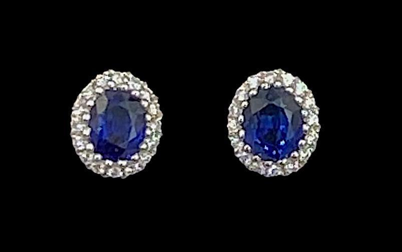 Pico Oval Sapphire Ear Studs (1 of 1)
