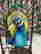 item-121769483=3