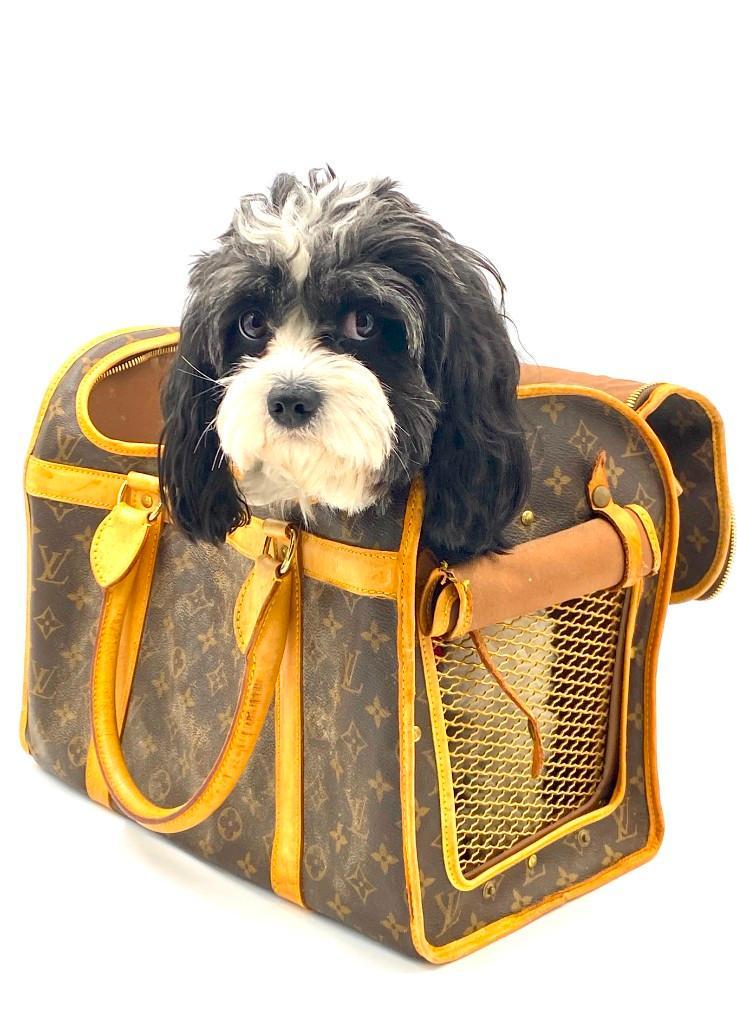 Louis Vuitton Monogram Canvas Sac Chien (1 of 10)