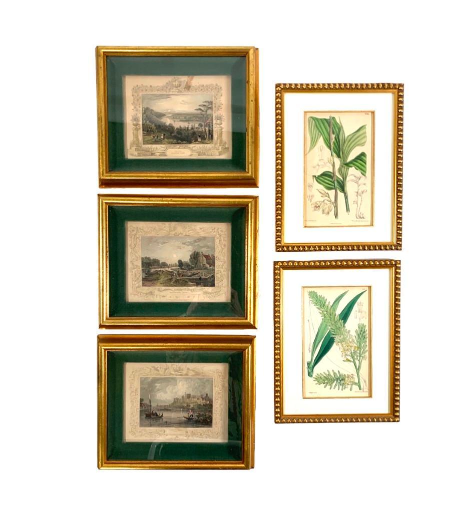 Five Handcolored Framed Prints (1 of 20)