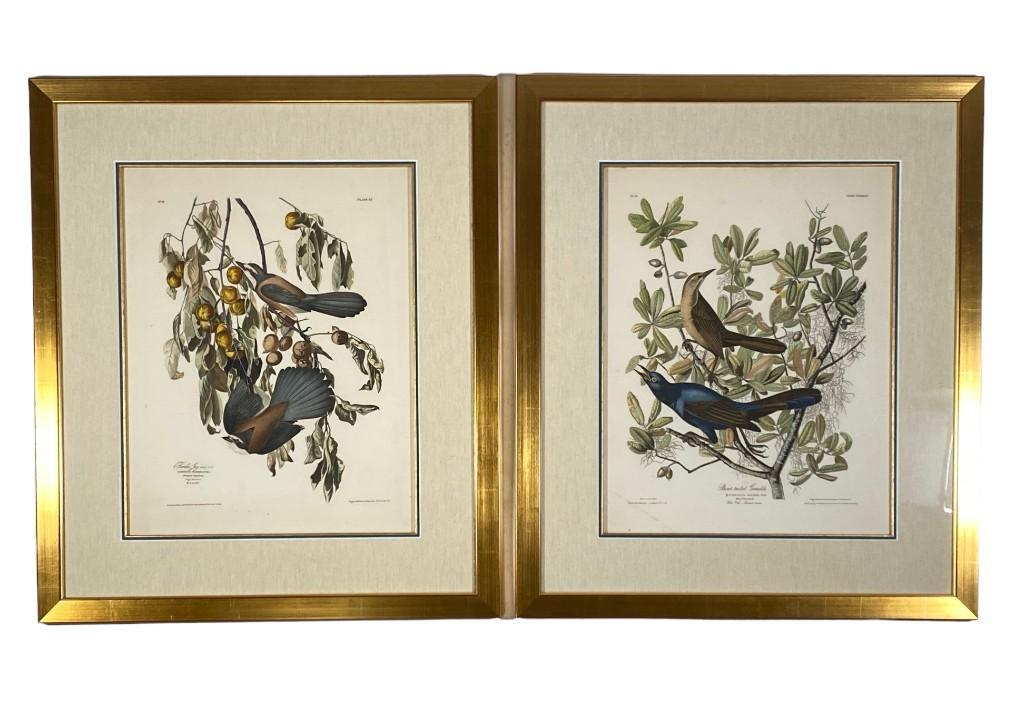 Two Framed Prints after Audubon (1 of 16)