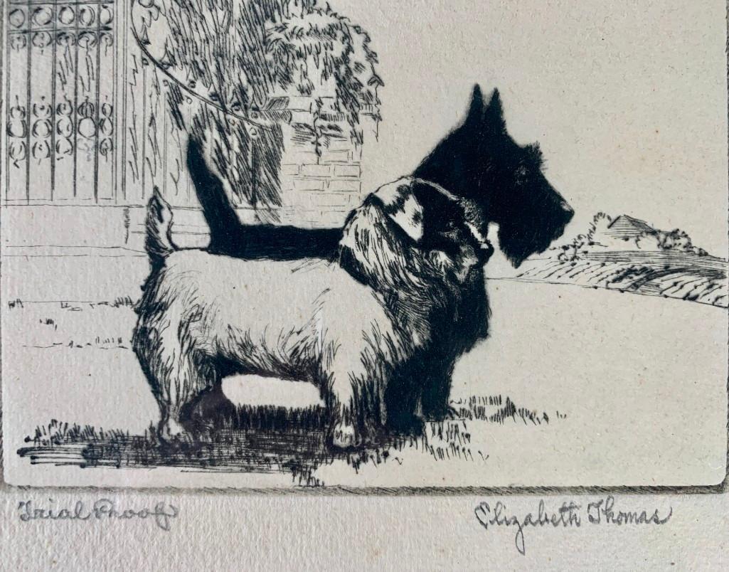 Elizabeth Thomas Etching, Sunshine and Shadow (1 of 4)