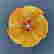 item-127014732=2