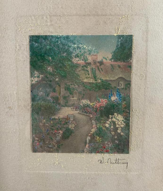Wallace Nutting "Untitled Larkspur" (1 of 2)