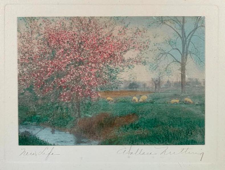 Wallace Nutting "New Life": Several sheep graze along stream bank near field, Wallace Nutting Ref#409, 10 x 12 inches, antique silver gelatin photograph with original hand coloring, framed, under glass. Not inspected out of fram