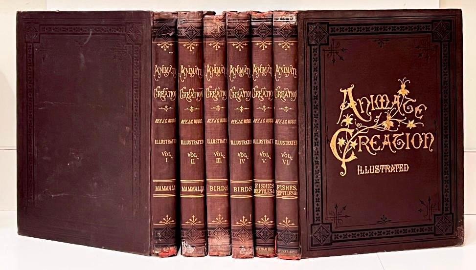 Animate Creation (6 volumes) (1 of 15)