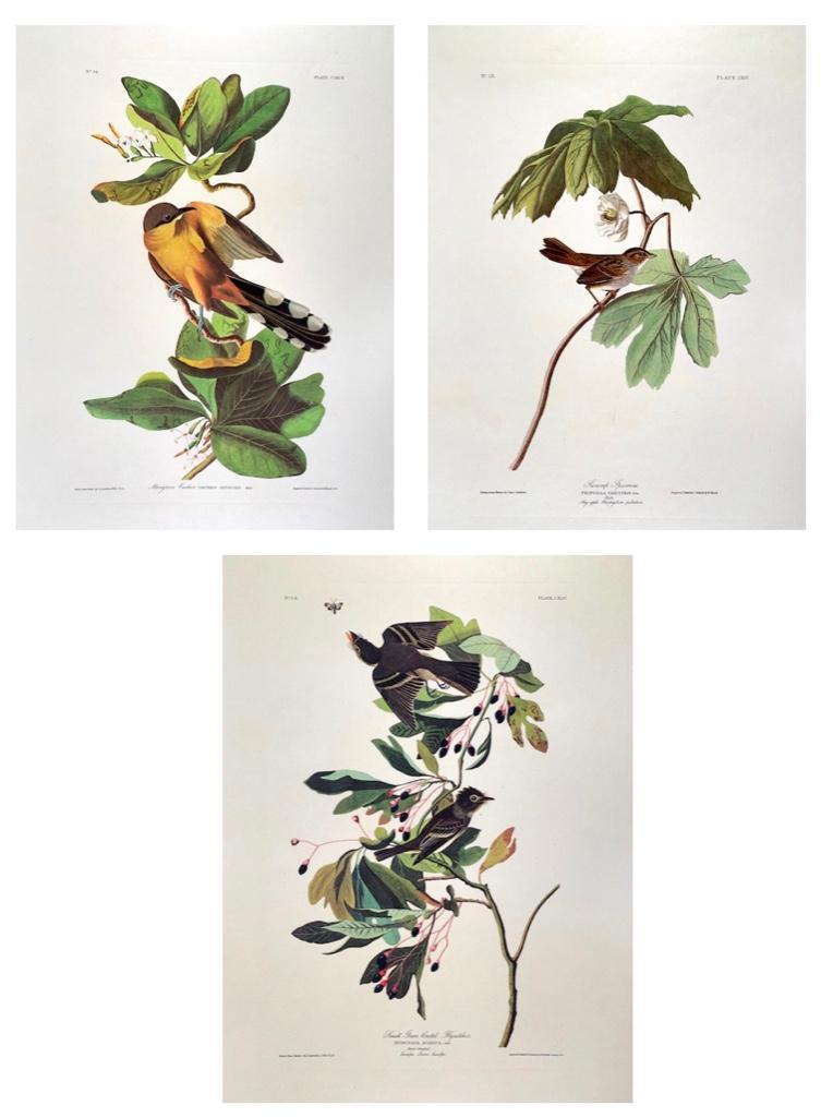 After John James Audubon (American 1785-1851) (1 of 7)