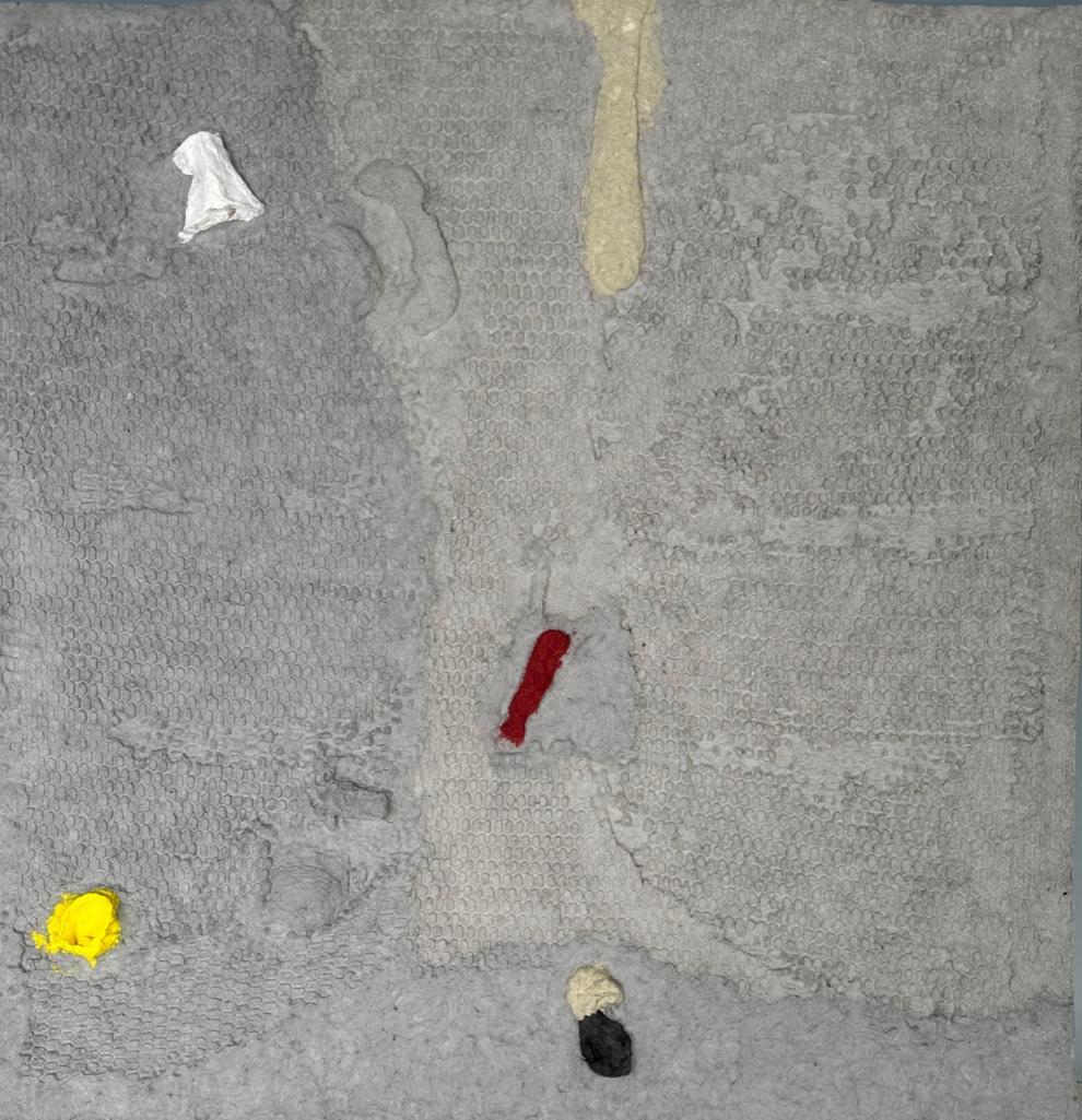 Suzanne Anker Cast Paper Print, Cacoon (1 of 11)