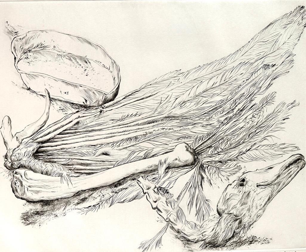 Gunter Grass Drypoint, "What Remained of the Swans" (1 of 7)
